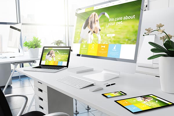 Website Design & Management Services